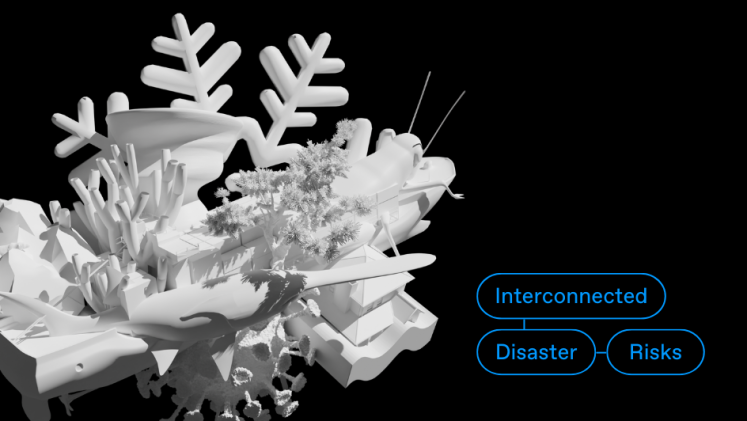 Cover image for press release of UNU-EHS Interconnected Disaster Risks 2021 launch